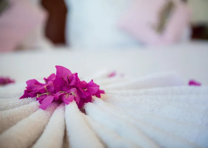 Seng Hout Hotel